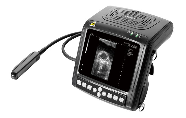 KX5200 ֱB,ţBCr